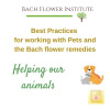 Best Practice for Working with Pets and the Bach flower remedies-Nov-Dec 2019